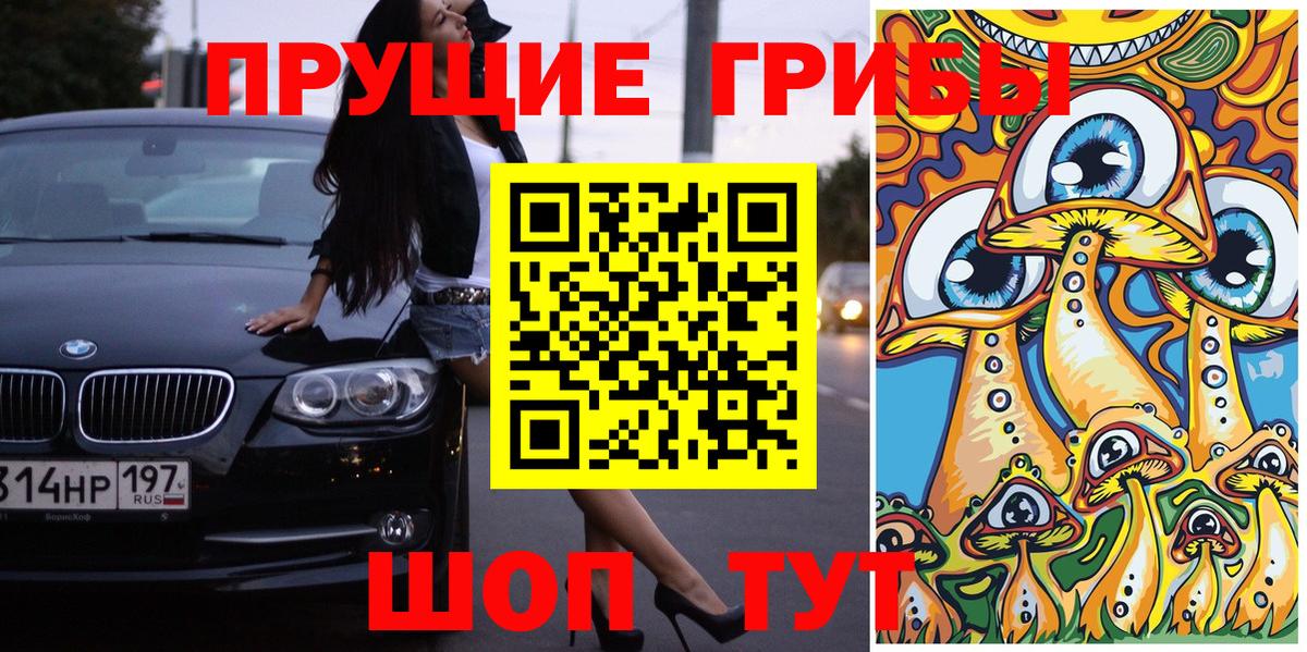купить закладку  Галлюциногенные грибы GOLDEN TEACHER  Вход с VPN  Нижнекамск 